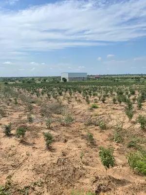 G/T ACCRA, NIPA DISTRICT (DAWA) _ 48 Acres Industrial Land