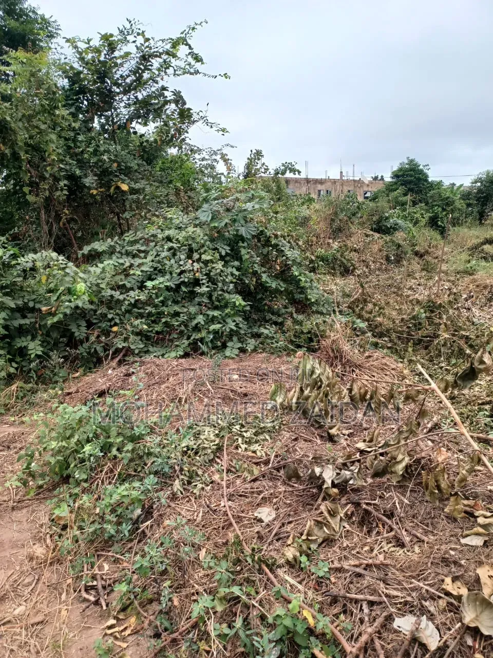 Land for Sale