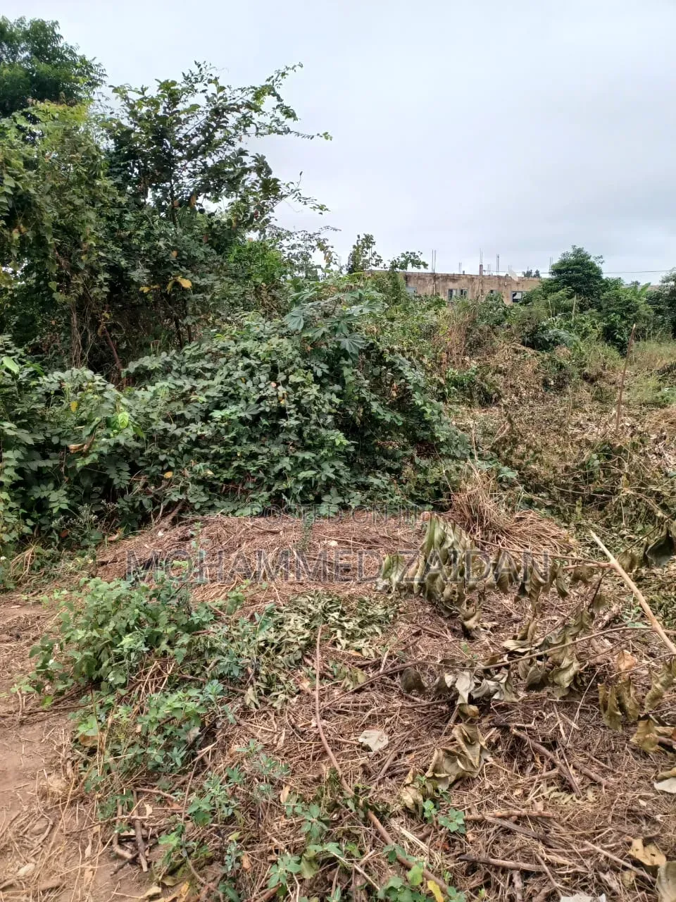 Land for Sale