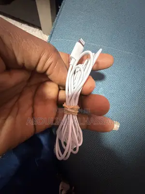 Genuine Apple EarPods Lightning Connector