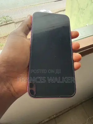 Apple iPhone 16 Plus 256 GB Pink