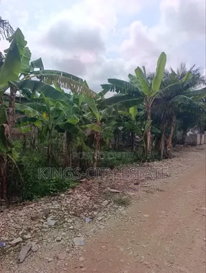 Land Available for Sale at Pokuase Ayawaso. Half Plot.
