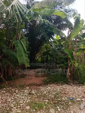 Land Available for Sale at Pokuase Ayawaso. Half Plot.