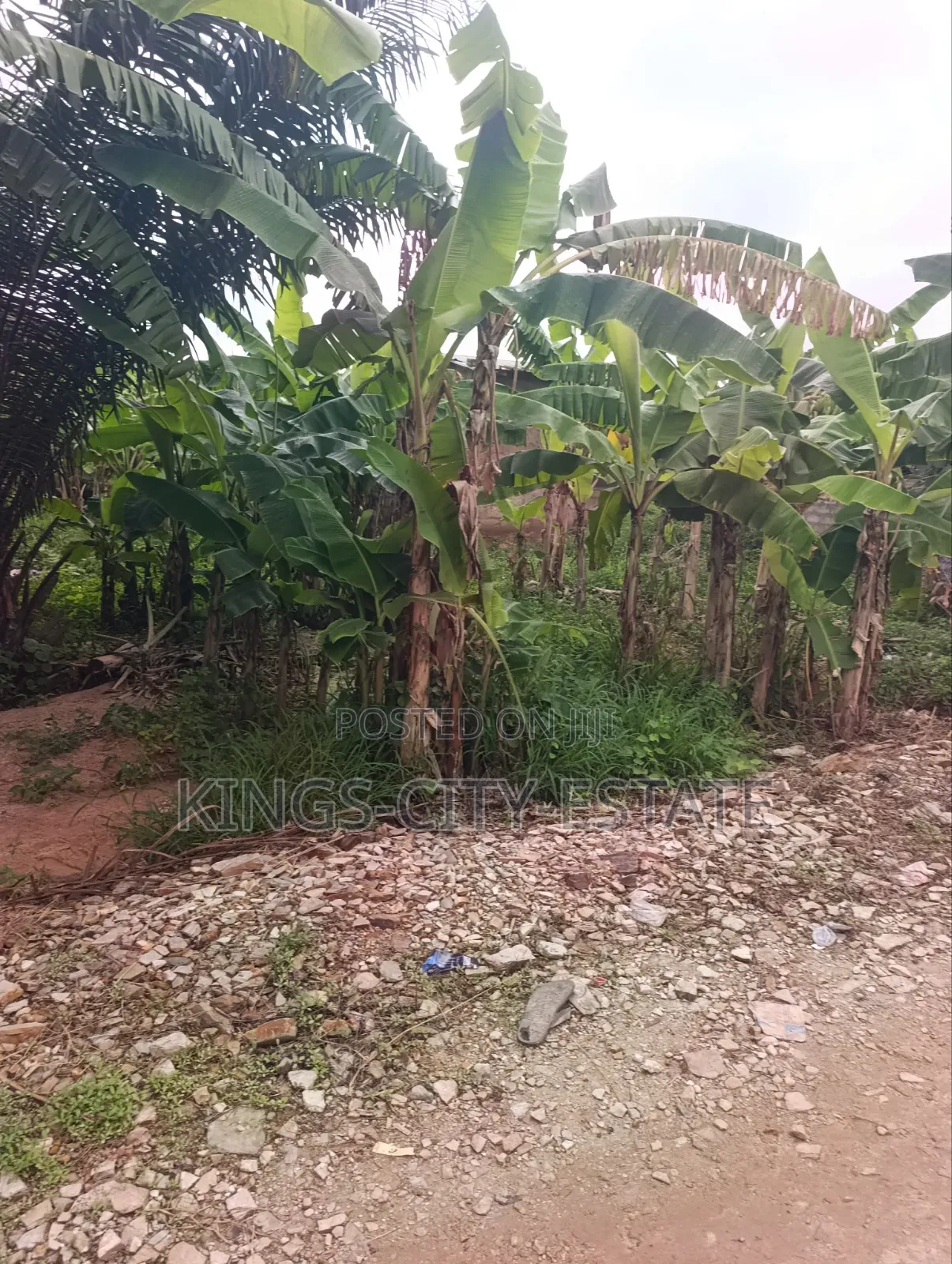 Land Available for Sale at Pokuase Ayawaso. Half Plot.