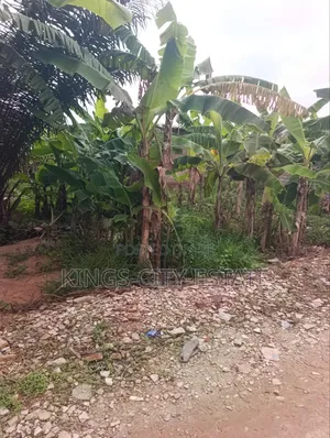 Land Available for Sale at Pokuase Ayawaso. Half Plot.