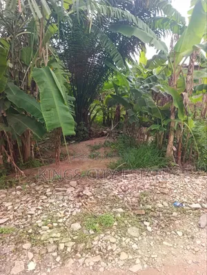 Land Available for Sale at Pokuase Ayawaso. Half Plot.