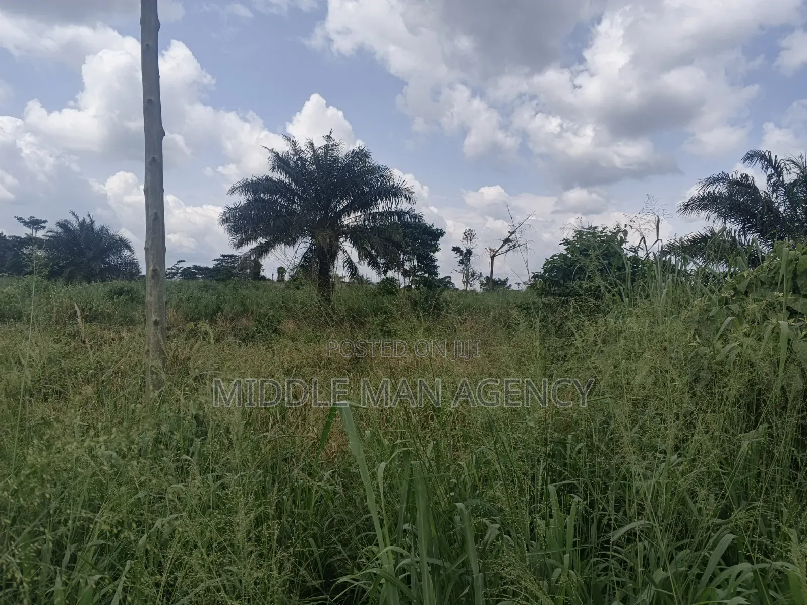 6 Plots of Land Main Road Opposite Inland Pot Ejiso Boankra for Sale