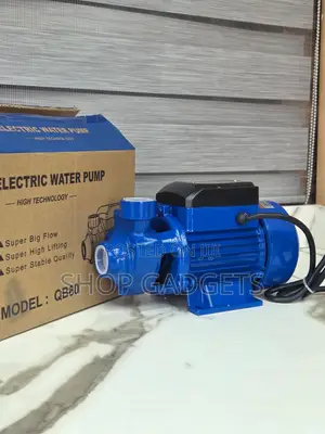 Electric Water Pump With Automatic Pressure Controller