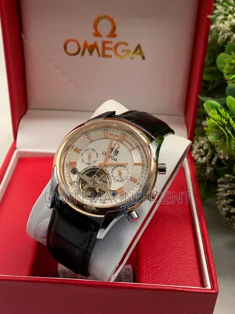 Men's Analog Mechanical Wristwatch