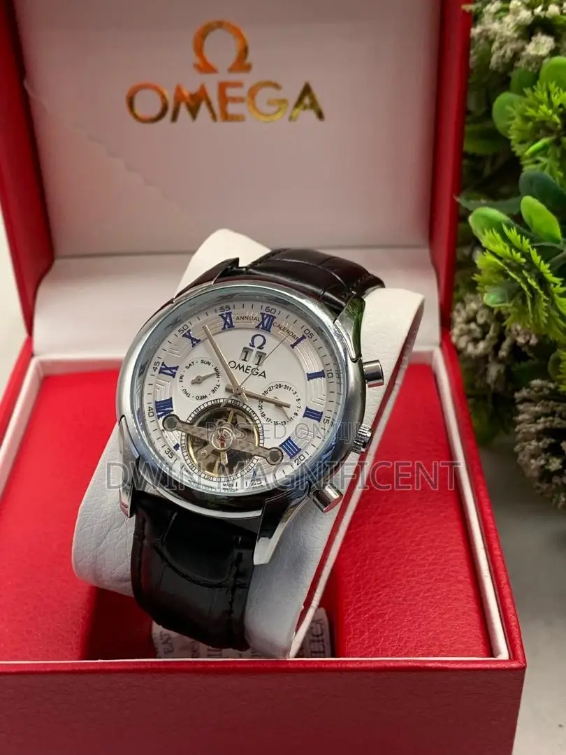 Men's Analog Mechanical Wristwatch