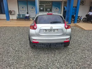 Nissan Juke 2011 Gray