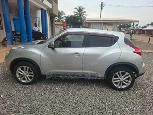 Nissan Juke 2011 Gray