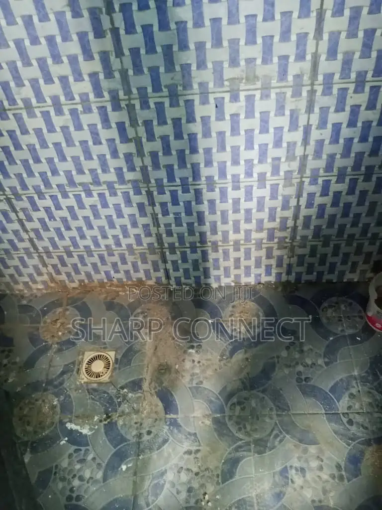 1bdrm Apartment in Sharp-Connect., Adade for rent
