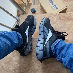 Reebok Zig Dynamica 2.0