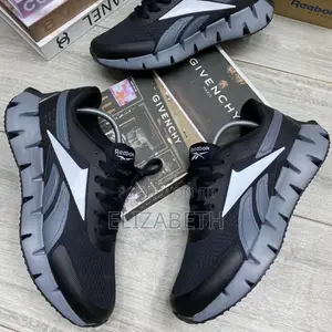 Reebok Zig Dynamica 2.0