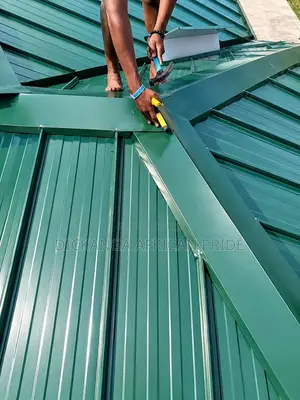 Roof It Right. Roof It Once. Choose Dickanga Africa Pride.