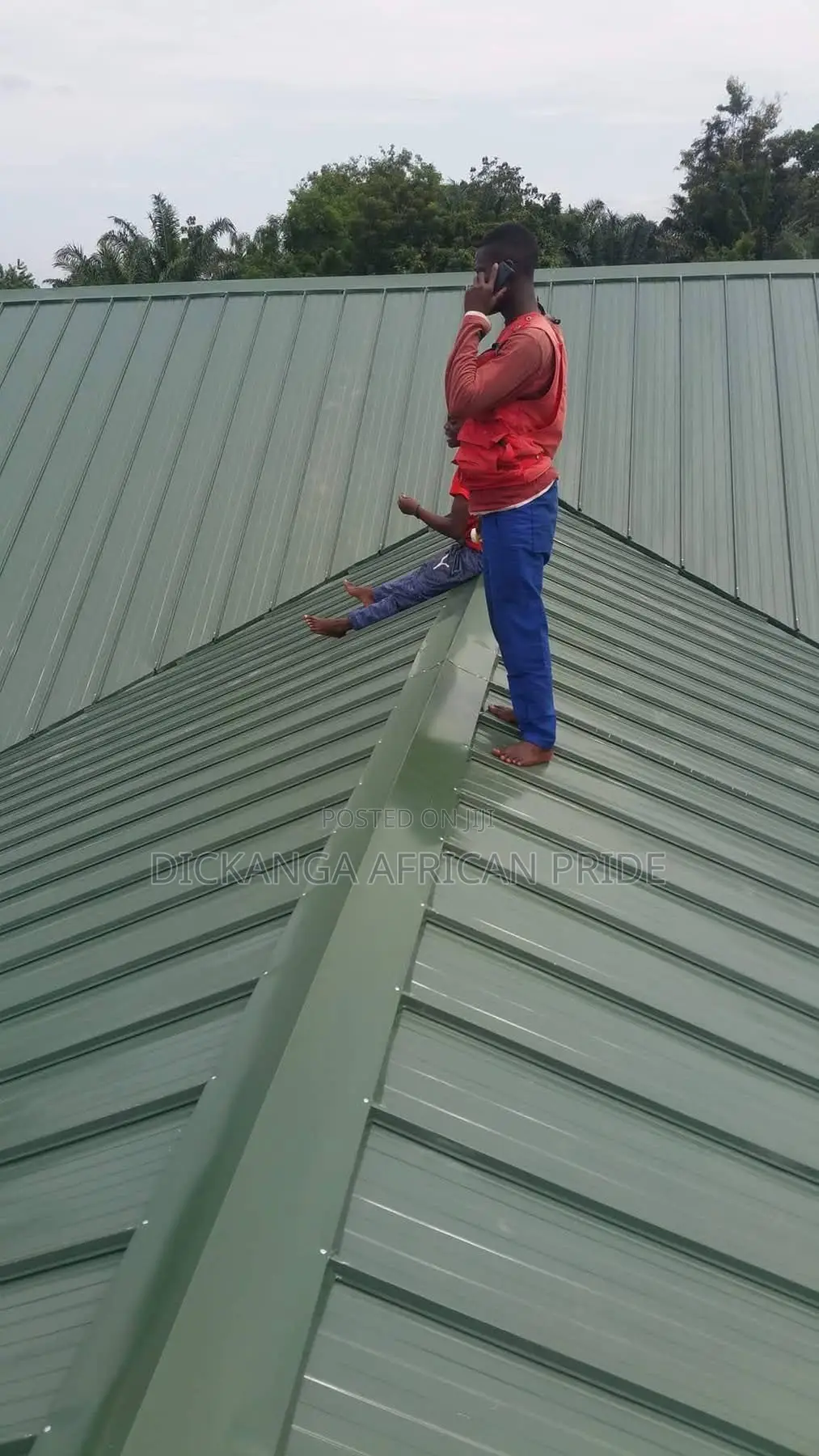 Roof It Right. Roof It Once. Choose Dickanga Africa Pride.