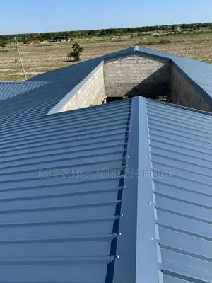 Roof It Right. Roof It Once. Choose Dickanga Africa Pride.