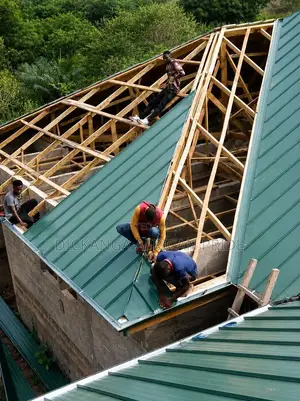 Green Self Lock Roof, Premium Look!