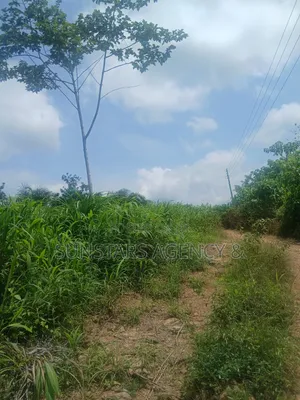 Land at Tonklo, Hohoe for Sale