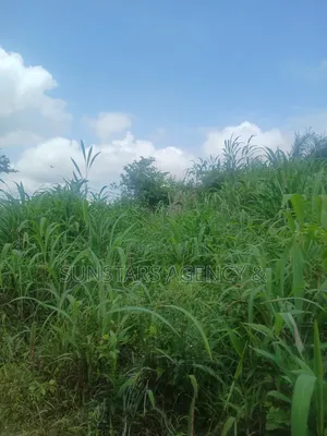 Land at Tonklo, Hohoe for Sale
