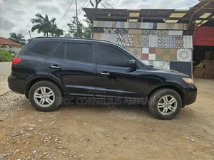 Hyundai Santa Fe 2010 Black