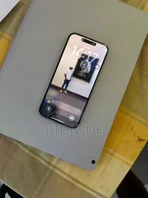 Apple iPhone 15 Pro Max 256 GB Gray