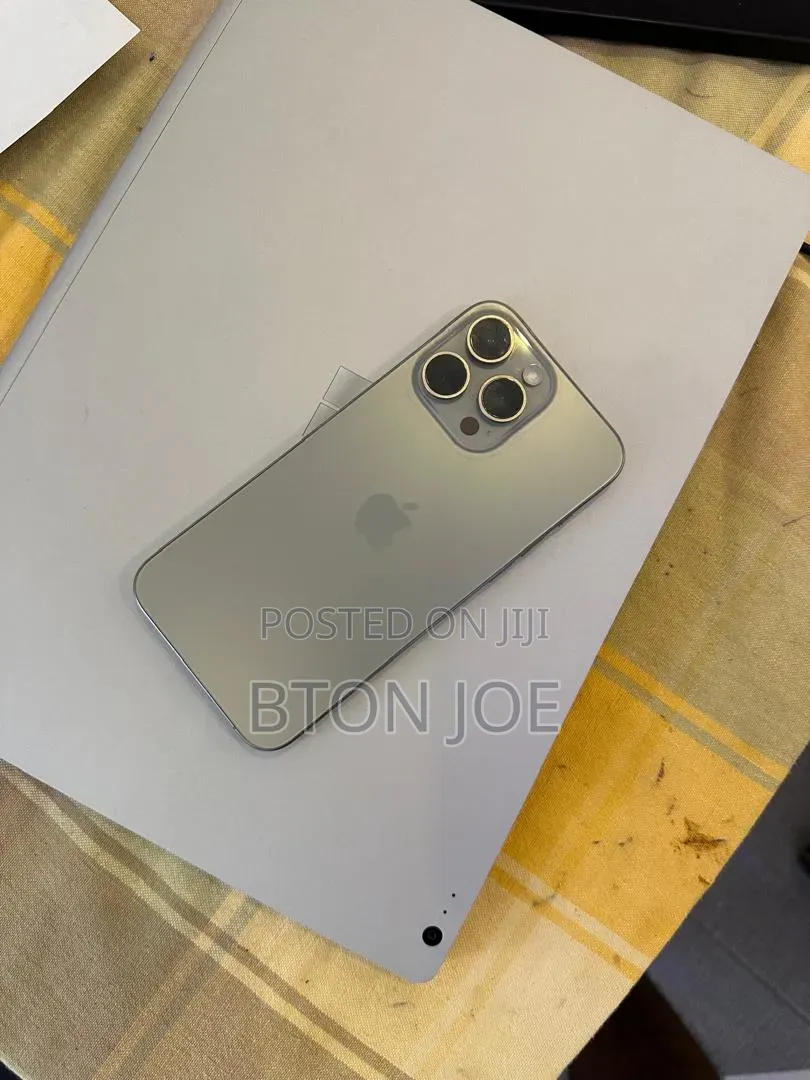 Apple iPhone 15 Pro Max 256 GB Gray