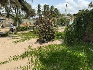 Beach View 2 Plots at Gomoa, Nyanyano