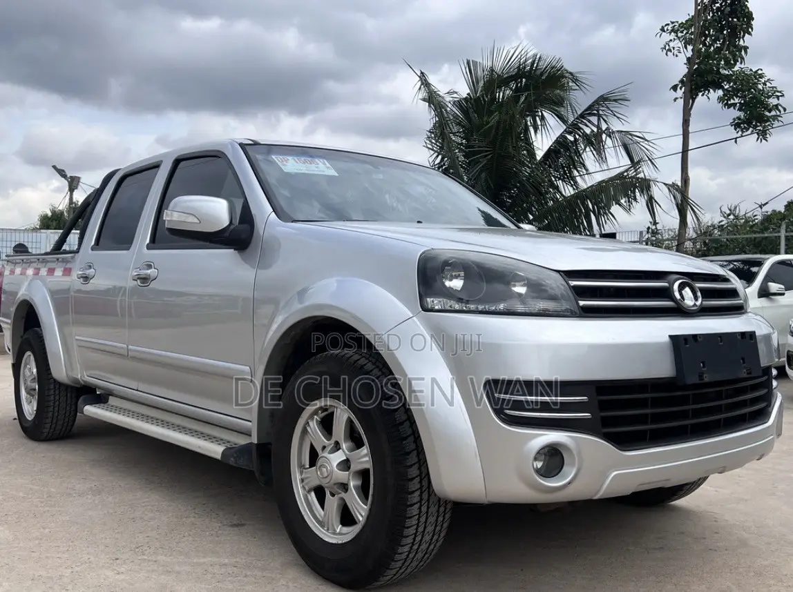 Great Wall Wingle 2017 Gray