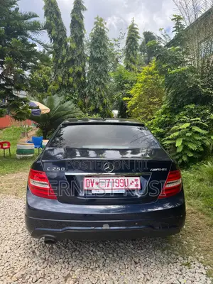 Mercedes-Benz C250 2013 Blue