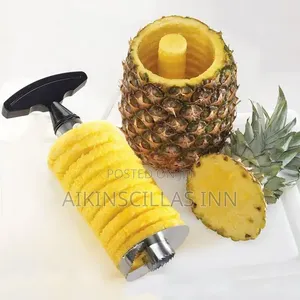 Pineapple Peeler
