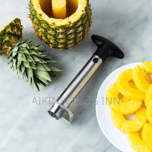 Pineapple Peeler