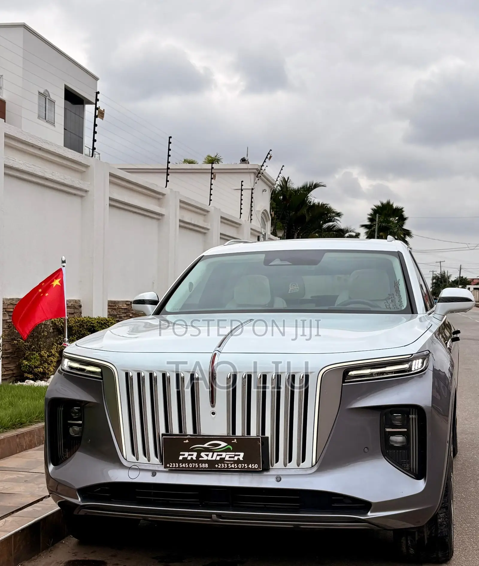 Hongqi E-HS9 Premium 2023 Gray