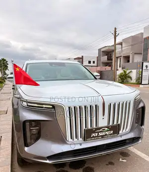 Hongqi E-HS9 Premium 2023 Gray