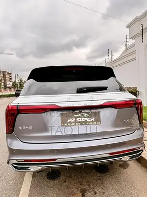Hongqi E-HS9 Premium 2023 Gray