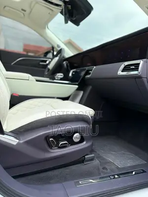 Hongqi E-HS9 Premium 2023 Gray