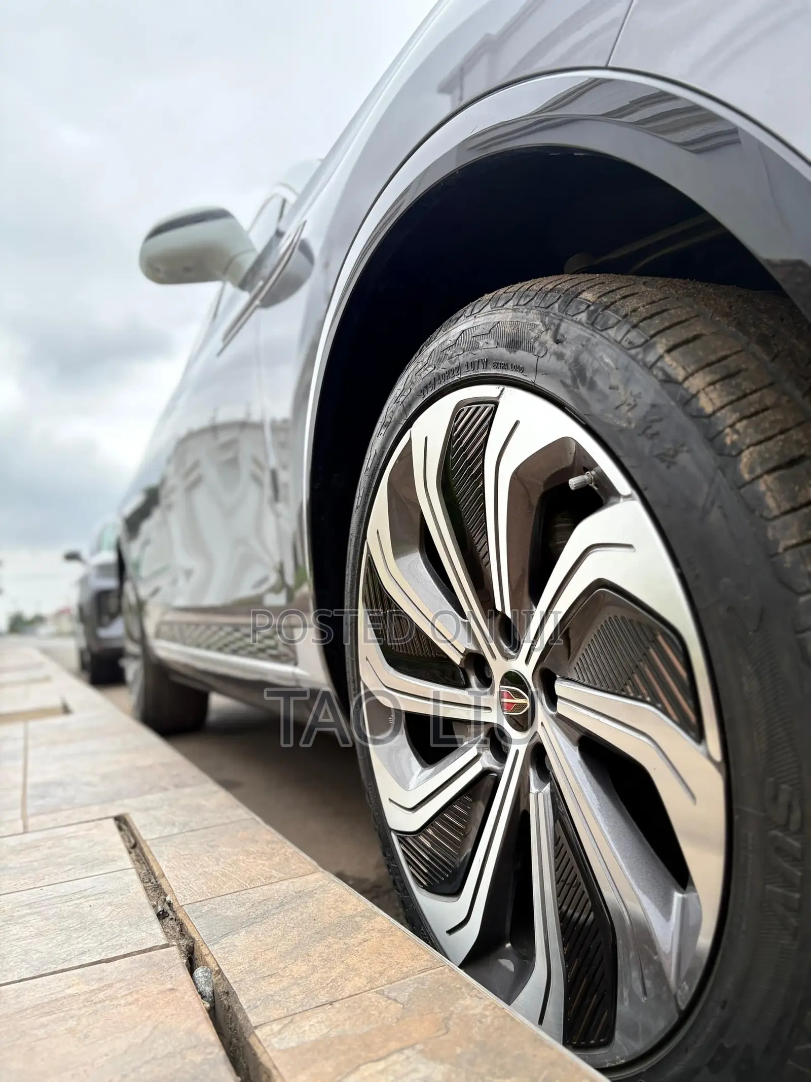 Hongqi E-HS9 Premium 2023 Gray