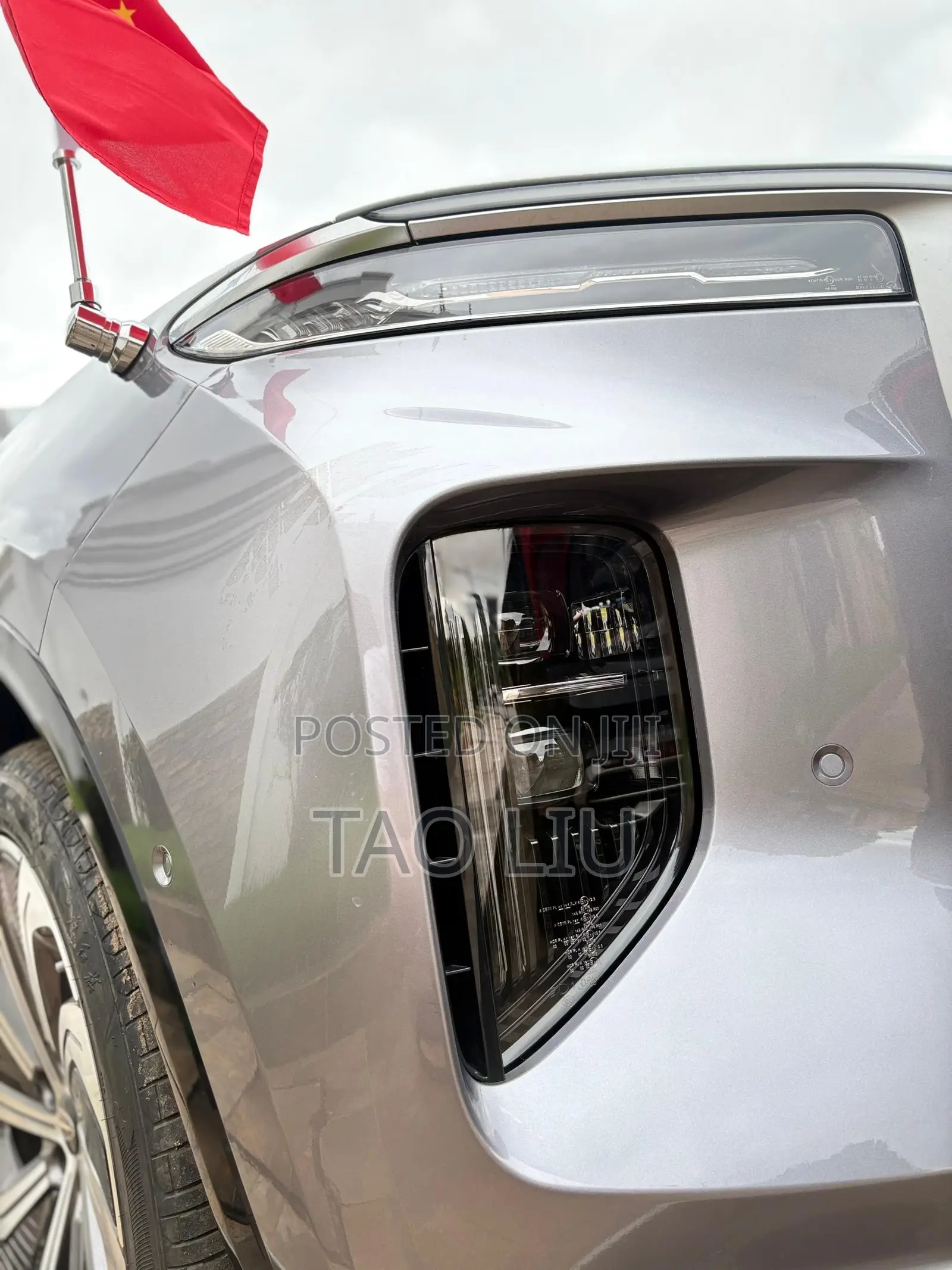 Hongqi E-HS9 Premium 2023 Gray