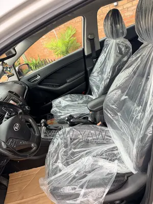 Kia Forte EX Sedan 2015 Silver