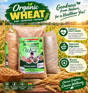 Organic Wheat