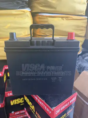11 Plates 12Volts 45Ah Visca Battery Big Pole/Terminal