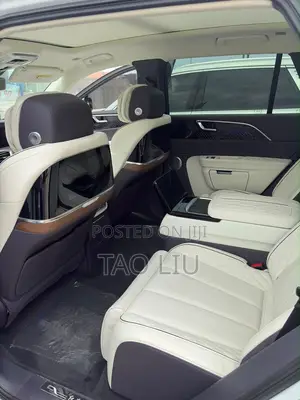 Hongqi E-HS9 Premium 2023 Gray