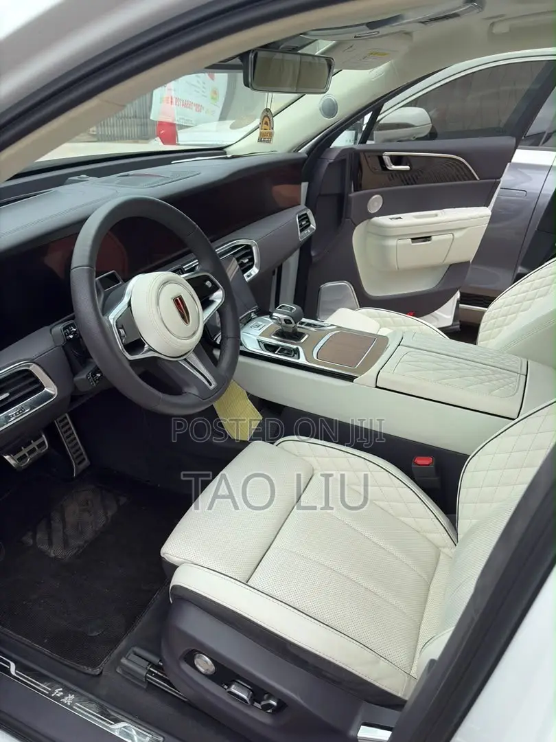 Hongqi E-HS9 Premium 2023 Gray
