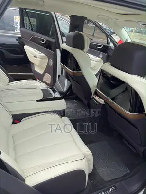 Hongqi E-HS9 Premium 2023 Gray
