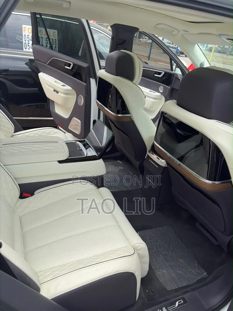Hongqi E-HS9 Premium 2023 Gray