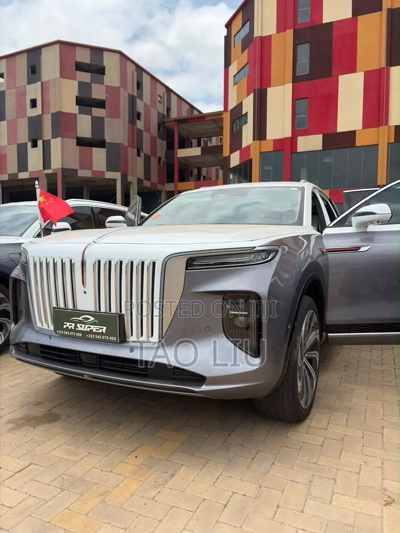 Hongqi E-HS9 Premium 2023 Gray