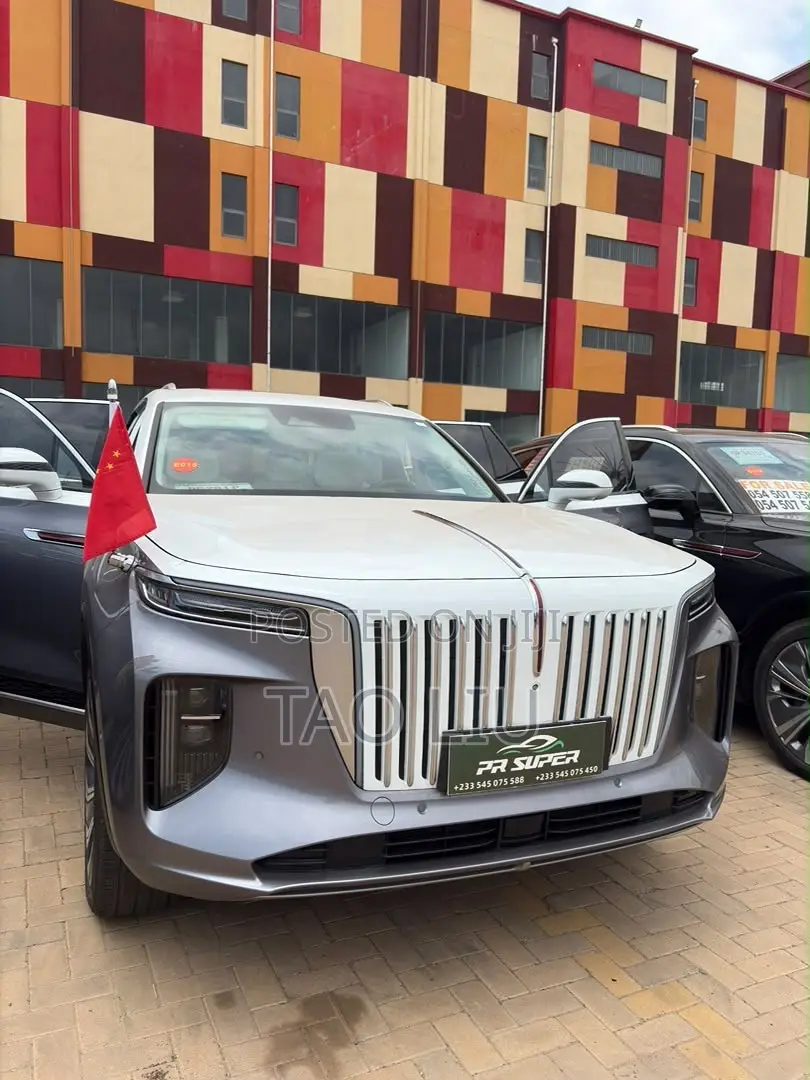 Hongqi E-HS9 Premium 2023 Gray