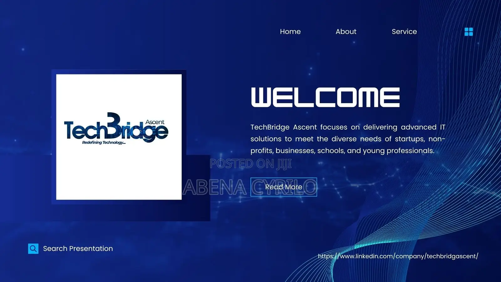 Website Developer