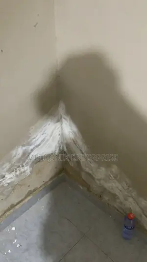 Damp and Waterproof Treatment Expert